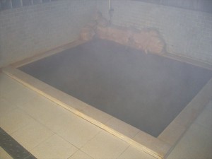 関温泉　山の湯 せきぜん