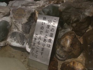 作並温泉　鷹泉閣 岩松旅館