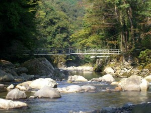 湯ヶ島温泉　湯本館